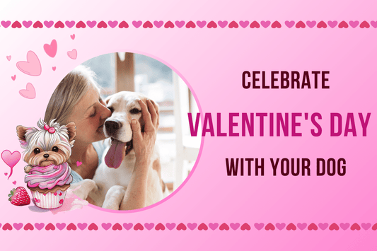 Celebrating Valentine's Day with your Dog