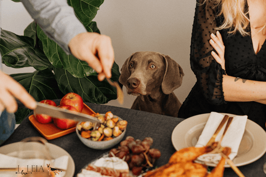 Dog-Friendly Thanksgiving Foods