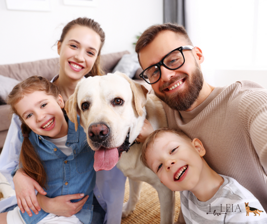 The joy of owning a senior dog