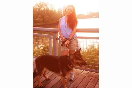 These 3 Actions will help your dog live longer - iloveleia.com