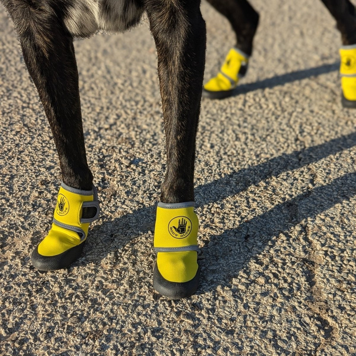 Dog Rain Boots | Body Glove