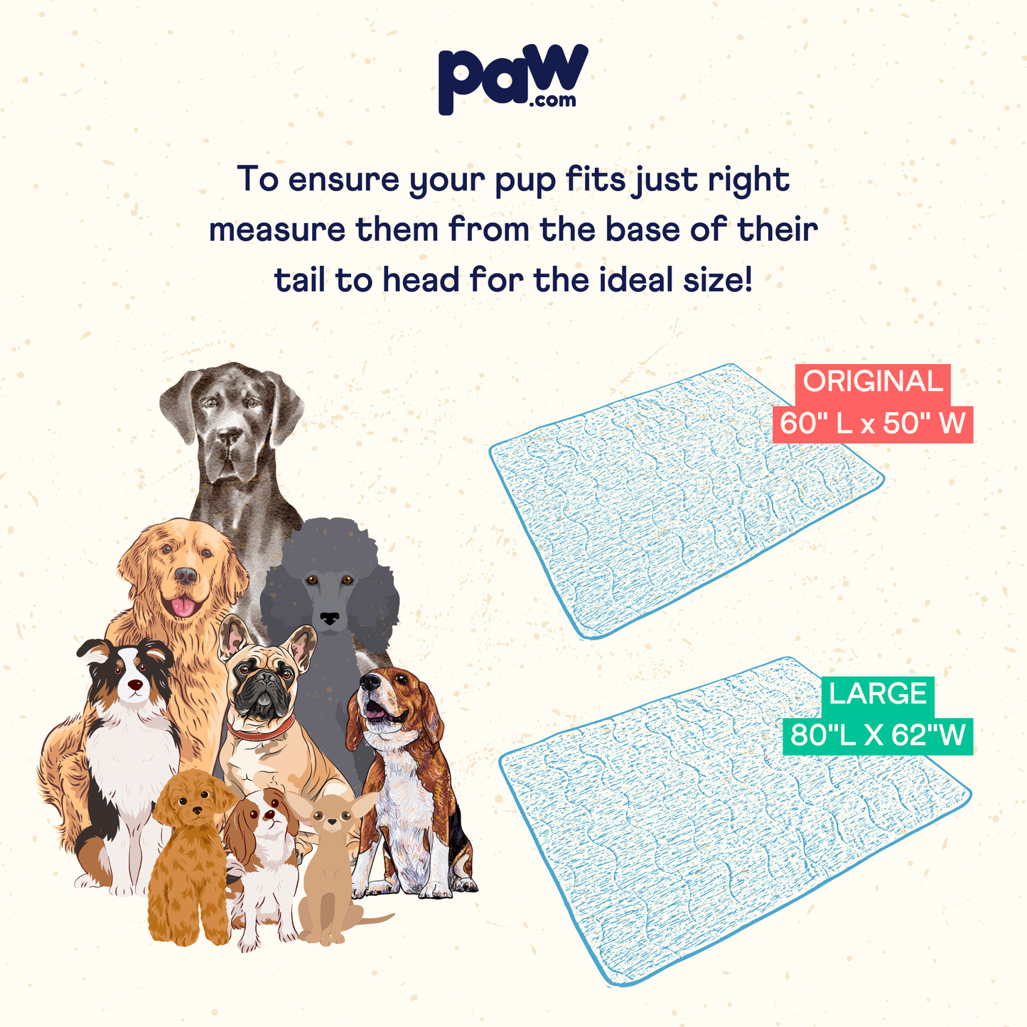 Dog mats with sizes displayed and a guide on measuring dogs for the right size.