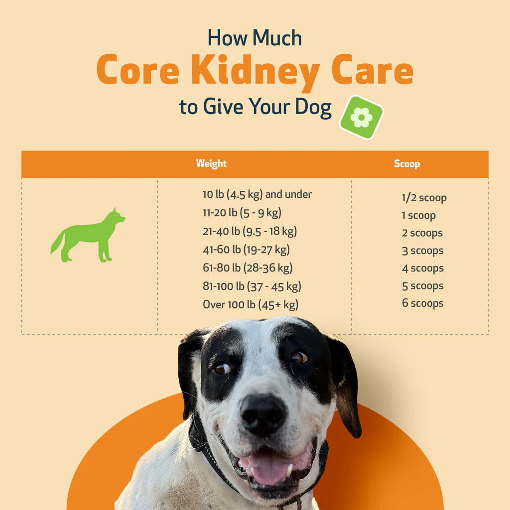 Core Kidney Care - Phosphate Binder for Dogs | PetWellbeing