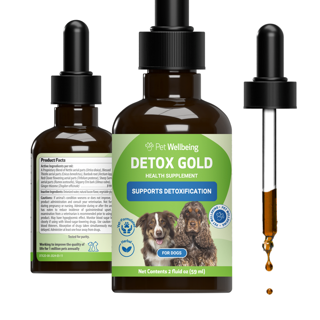 Detox for Dogs | Detox Gold Pet Wellbeing