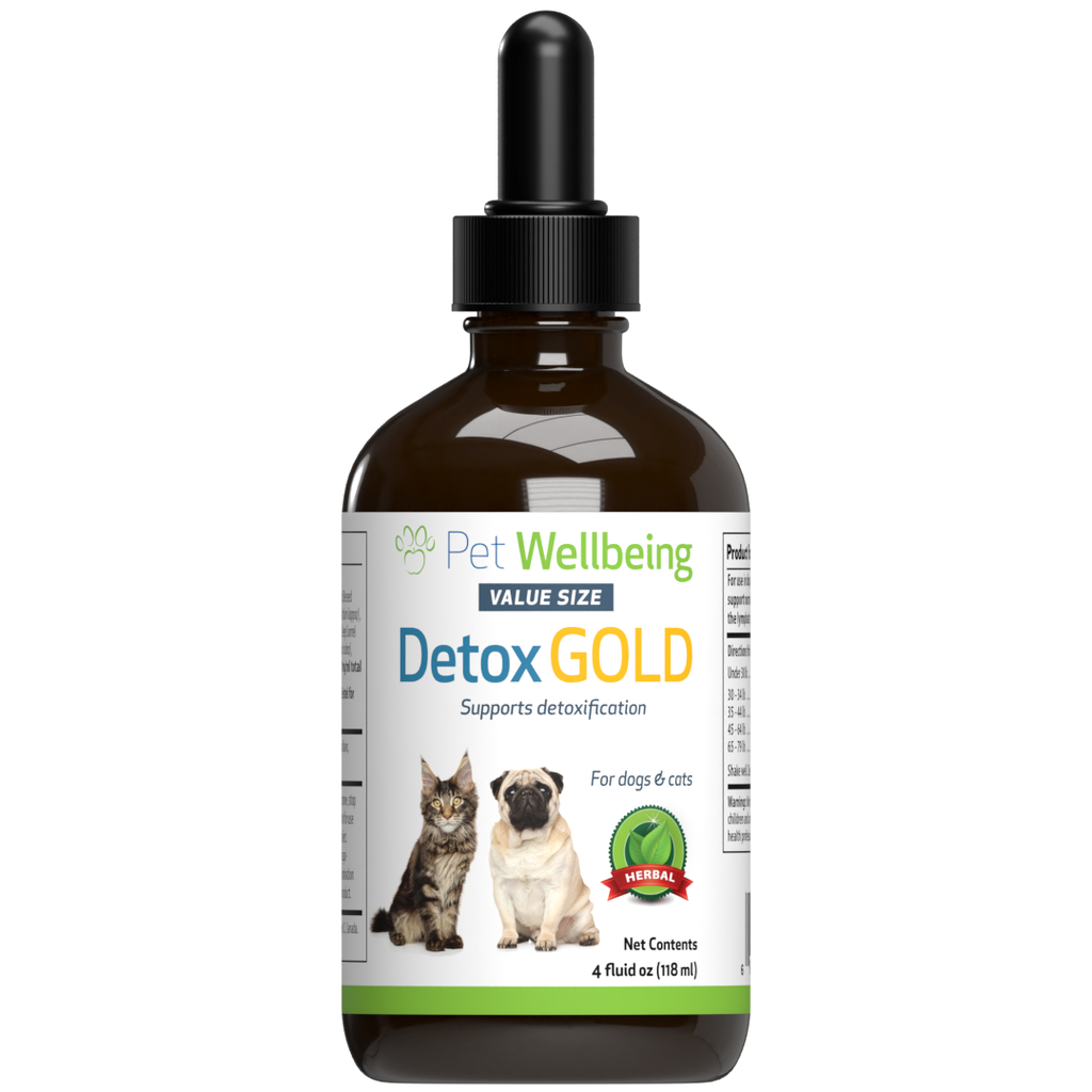 Detox for Dogs | Detox Gold Pet Wellbeing