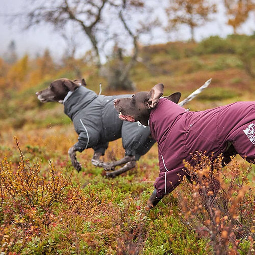 Dog Snowsuit | Hurtta Extreme Overall