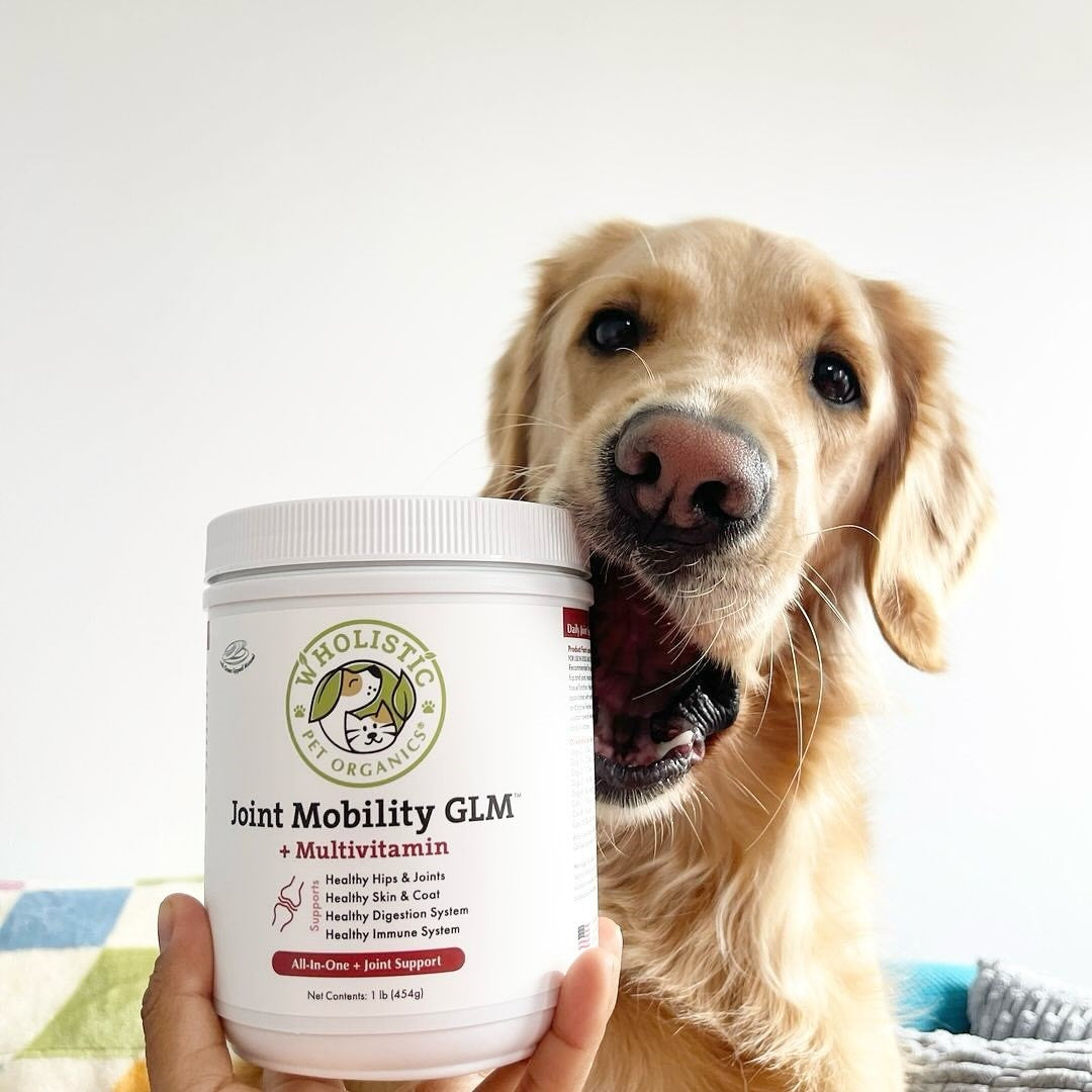 Natural Anti Inflammatory for Dogs Glucosamine + Green Lipped Mussel | Joint Mobility GLM