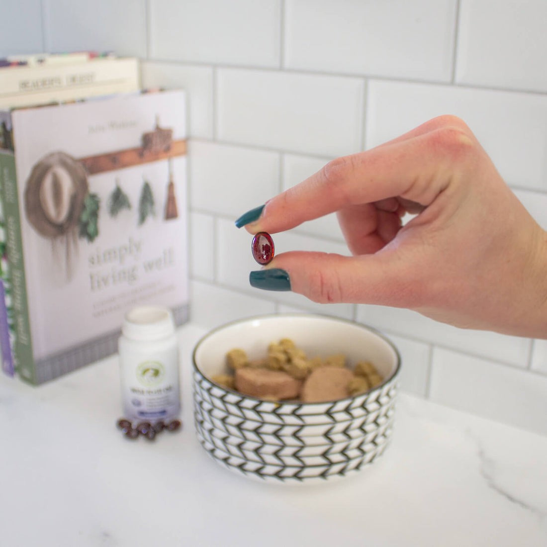 Wild Krill Oil for Dogs | Wholistic Pet Organics