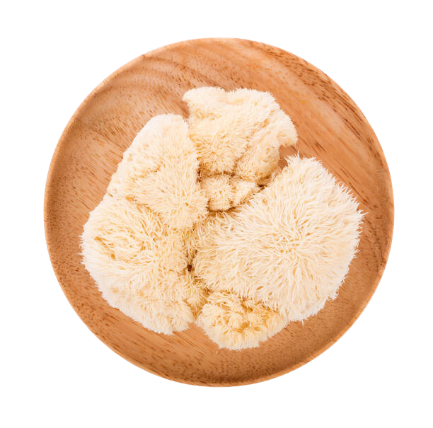 Lion's Mane for Dogs | Ziggy Marley Apawthecary
