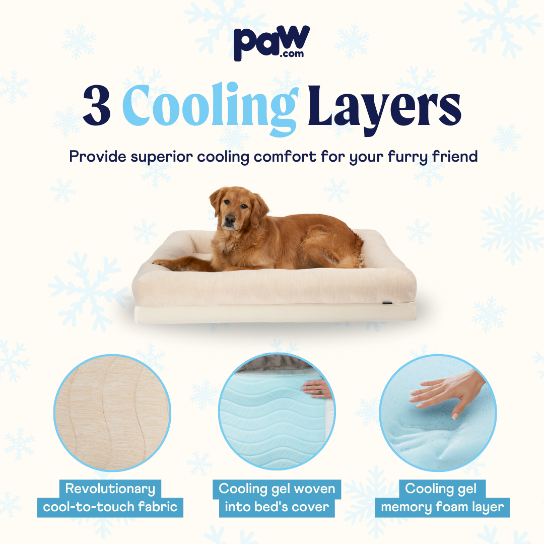 Dog lying on a cooling bed with '3 Cooling Layers' text and paw.com branding.