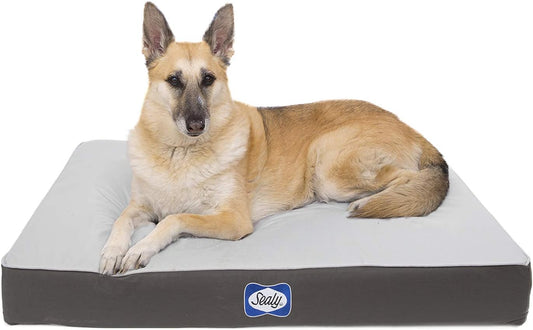 Sealy Orthopedic Foam Defender Series Dog Bed