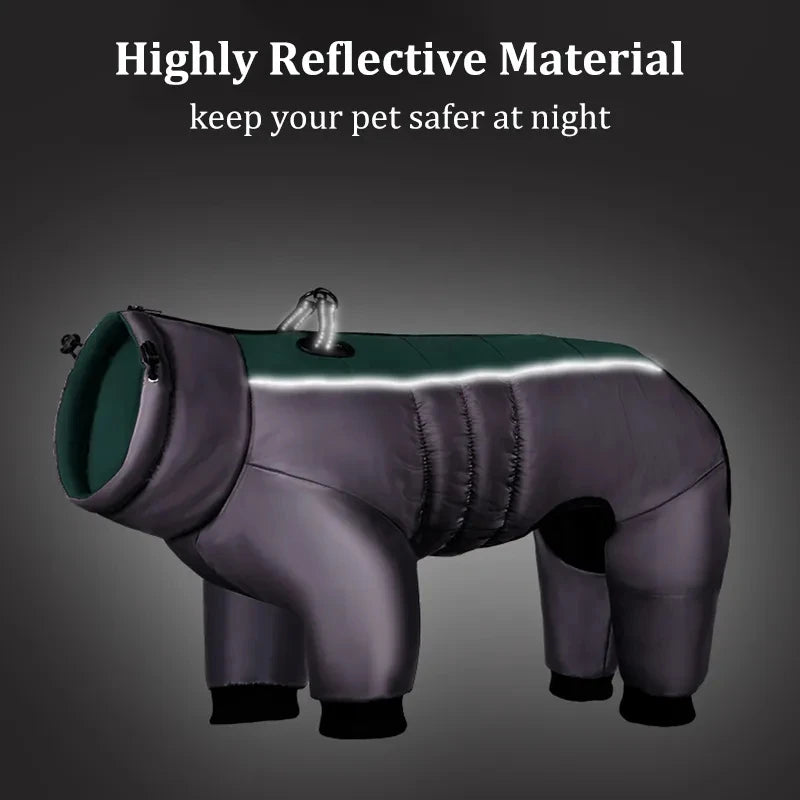 Big Dog Winter Coat