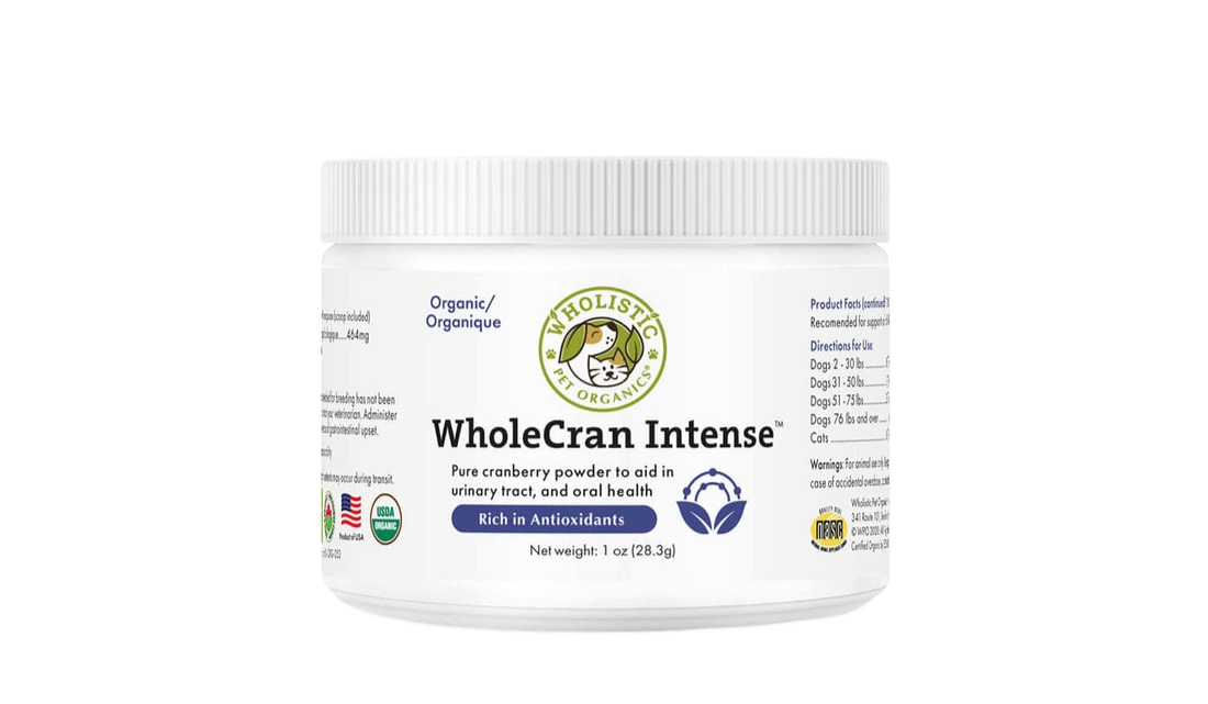 Cranberry Powder for Dogs | Wholecran Intense