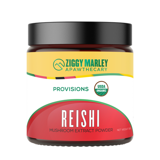 Reishi Mushroom for Dogs | Ziggy Marley Apawthecary