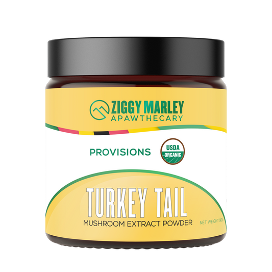 Turkey Tail Mushroom for Dogs | Ziggy Marley Apawthecary