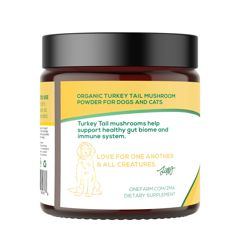 Turkey Tail Mushroom for Dogs | Ziggy Marley Apawthecary
