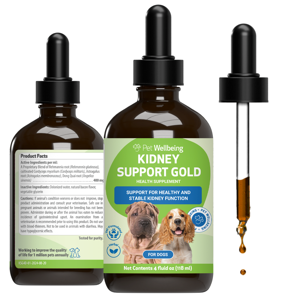 Kidney Disease Supplement for Dogs | Pet Wellbeing Kidney Support Gold