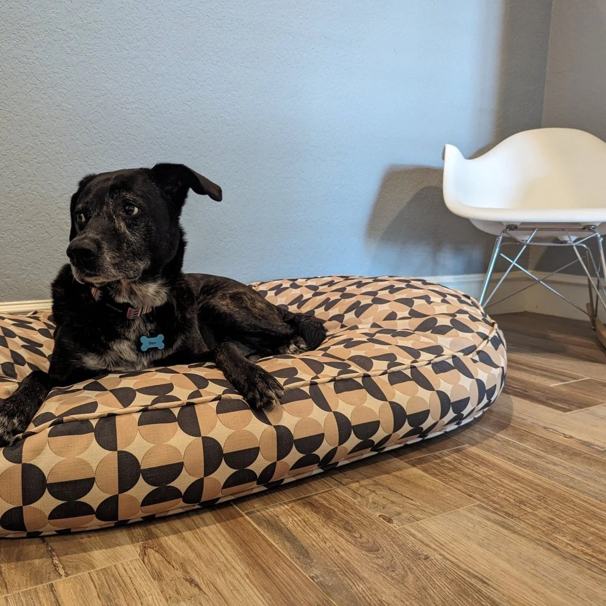 Dog Lounger Bed | Carolina Pet Company