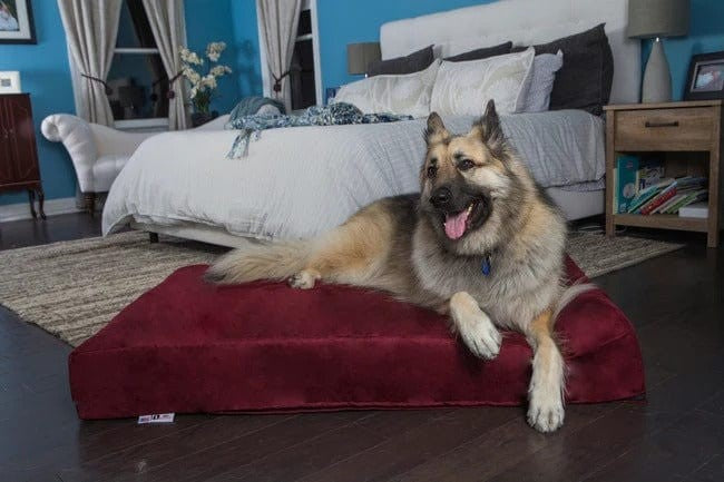 german shepherd heating pad for dog with hip dysplasia