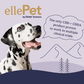 Dalmatian dog and EllePet CBD+CBDA product proven to work in multiple clinical trials