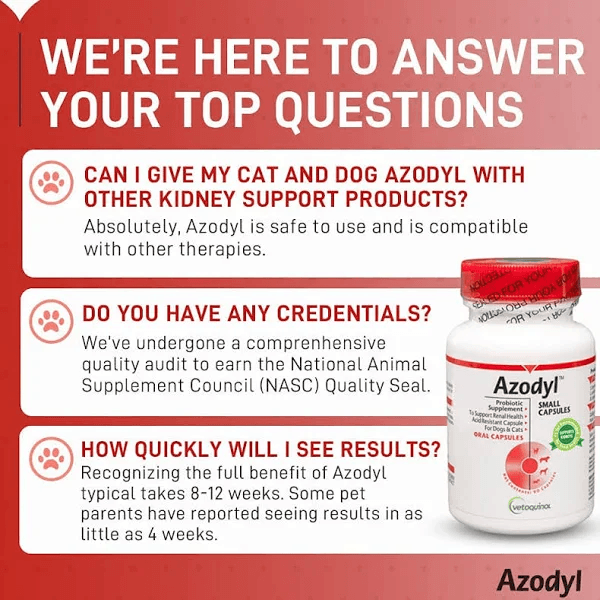 Azodyl - Kidney Supplement for Dogs - iloveleia.com