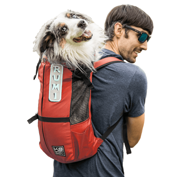 Man carrying an Australian Shepherd in backpack carrier in coral