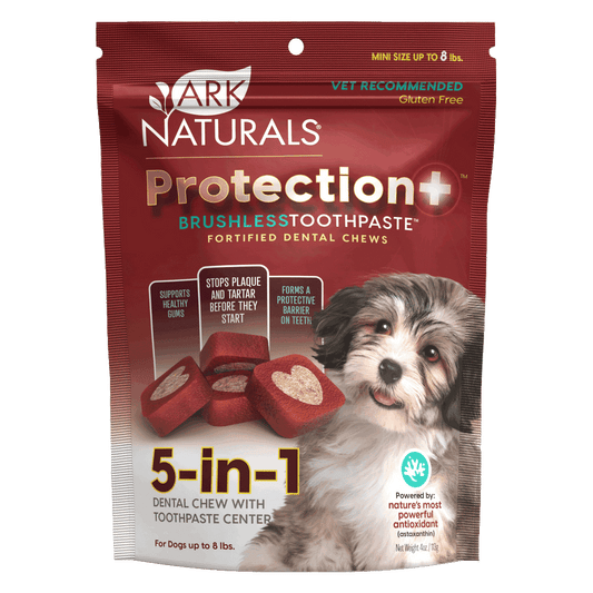 Ark Naturals Protection plus brushless toothpaste dental chews mini size dogs package