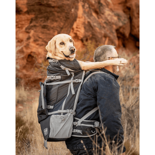 Large Dog Carrier Backpack Kolossus Big Dog Carrier Backpacking
