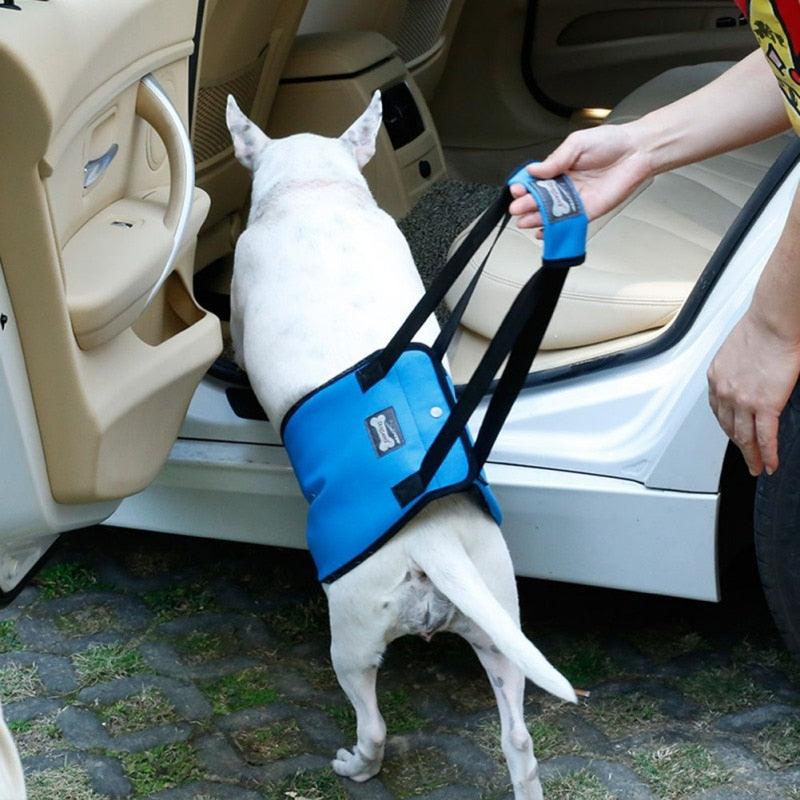 Dog Sling For Back Legs and Hip Support - iloveleia.com