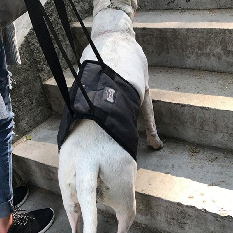 Dog Sling For Back Legs and Hip Support - iloveleia.com