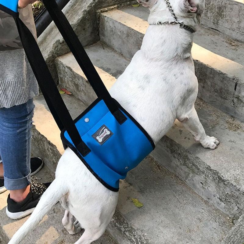 Dog Sling For Back Legs and Hip Support - iloveleia.com