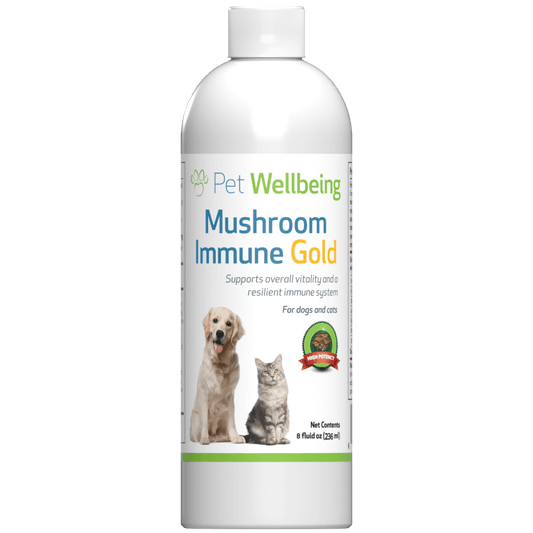 Pet Wellbeing Mushroom Immune Gold Supplement for Dogs