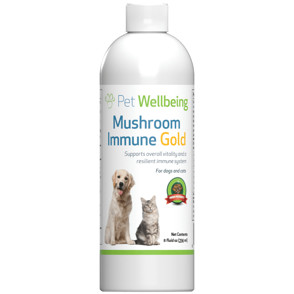 Pet Wellbeing Mushroom Immune Gold Supplement for Dogs