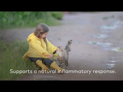 Urinary and Kidney Relief Earth Animal Natural Remedy video