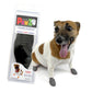 Jack Russell dog wearing Pawz extra small dog boots in black