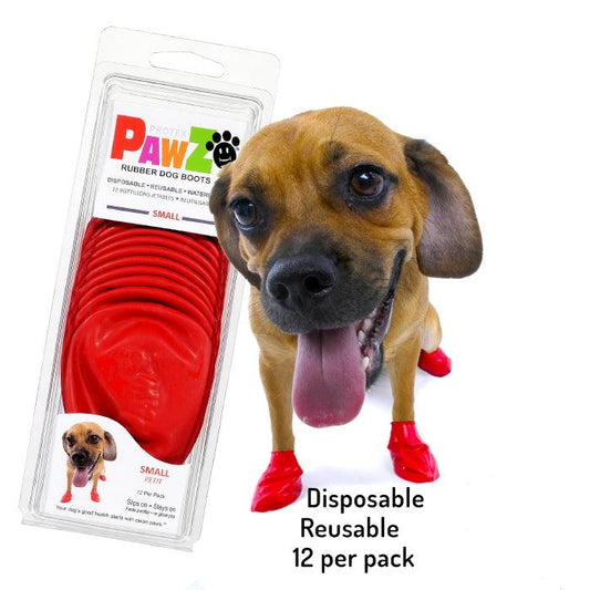 Dog wearing Pawz small size dog boots in red