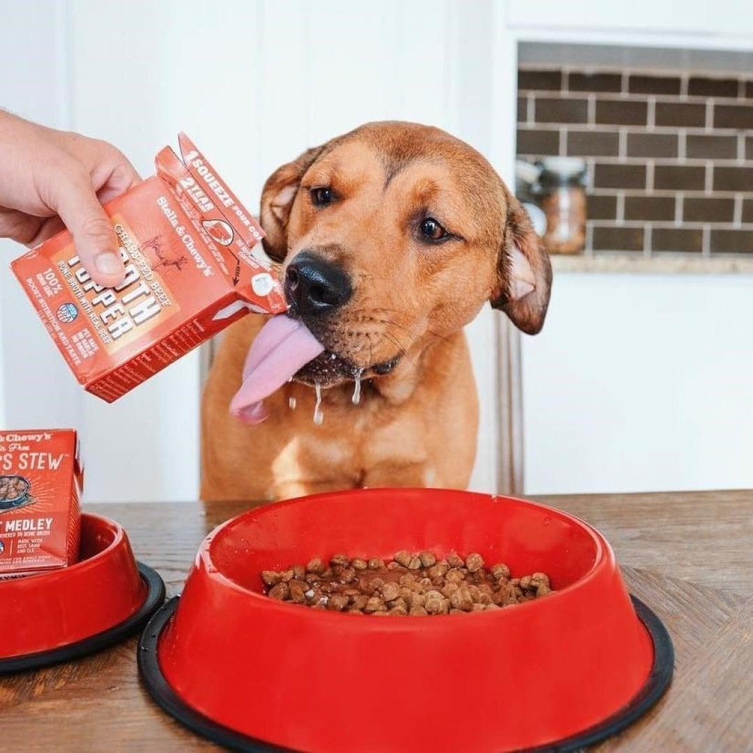 Stella & Chewy's Bone Broth Topper 11 oz ( Case of 12 ) - iloveleia.com