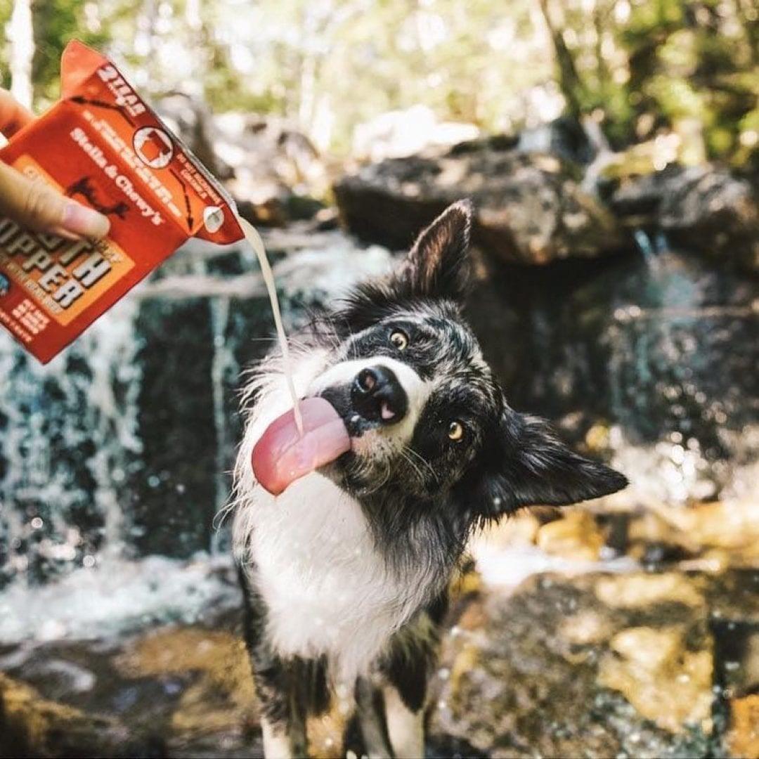 Stella & Chewy's Bone Broth Topper 11 oz ( Case of 12 ) - iloveleia.com