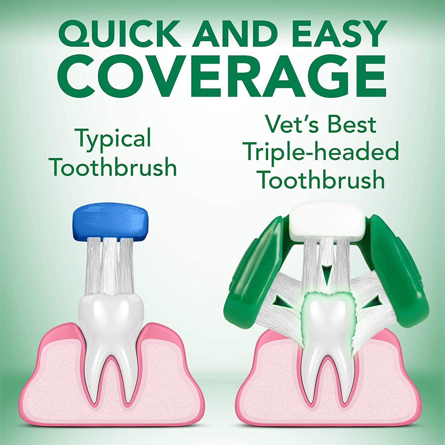 Toothbrush demo