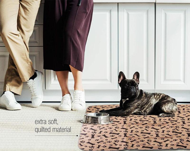 French Bulldog laying on a washable incontinence pad