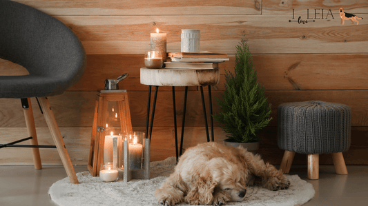 Pet-Safe Fall Scents: Keeping Your Home Cozy Without Harming Your Dog