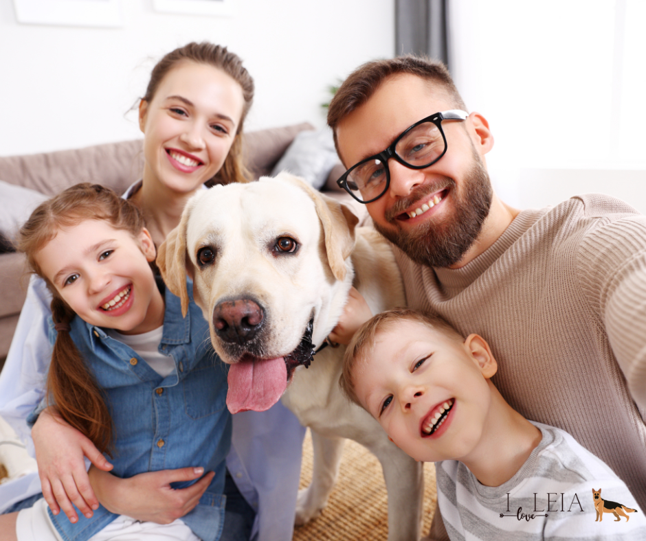 The joy of owning a senior dog