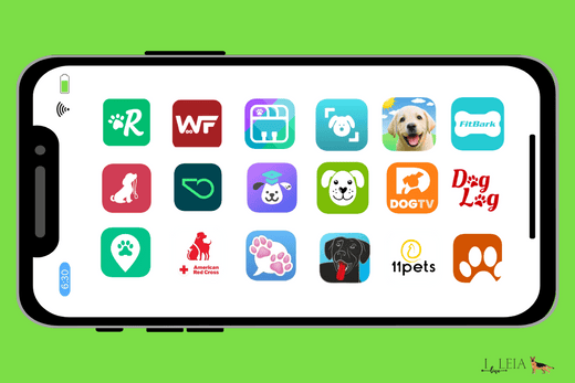 Top Dog-Related Apps for Pet Owners