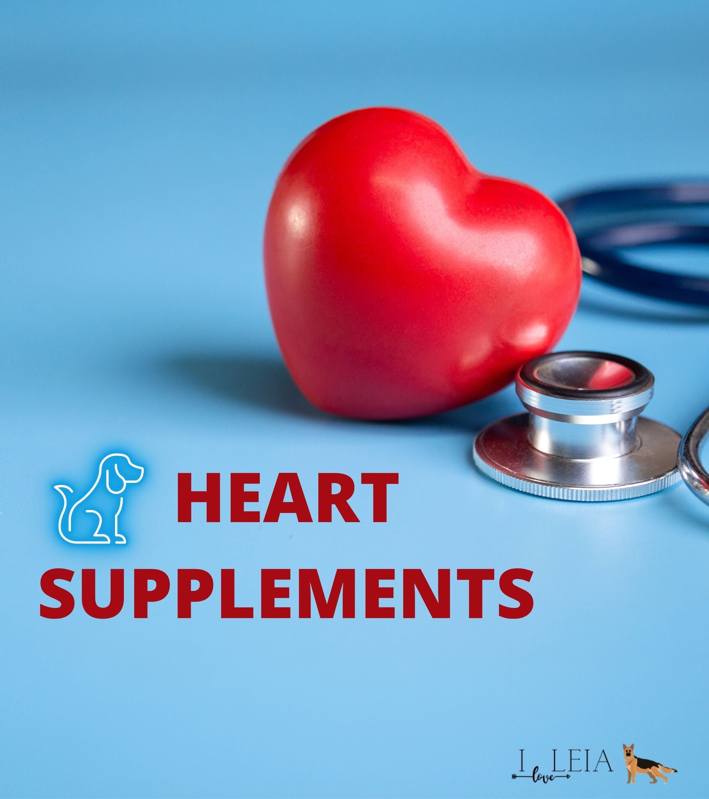 Heart Supplements for Dogs - iloveleia.com