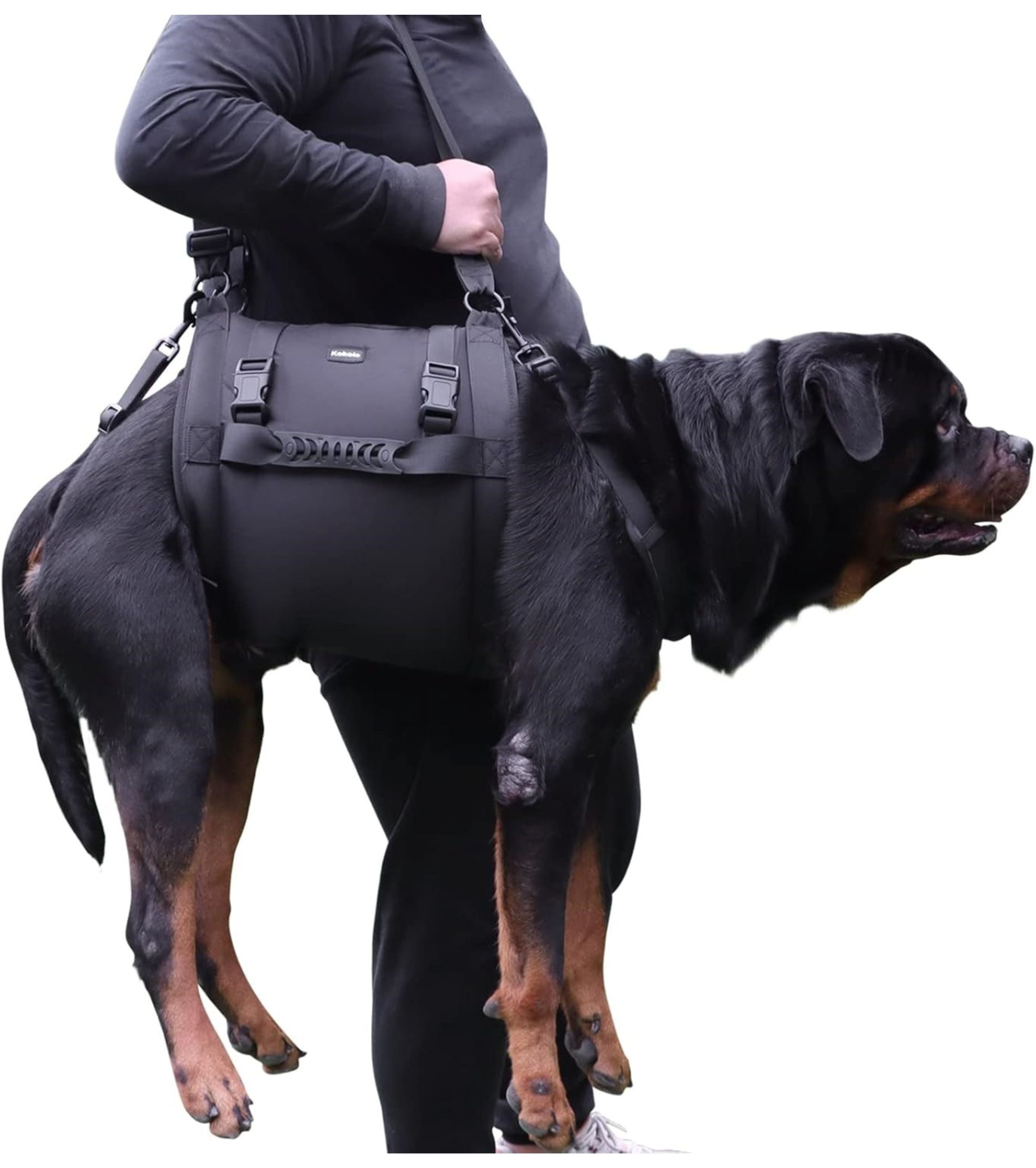Mobility Aids for Dogs - iloveleia.com