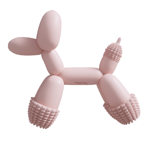 Dental toy for dogs