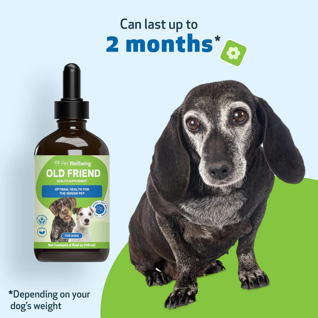 Supplement for Senior Dogs | Pet Wellbeing