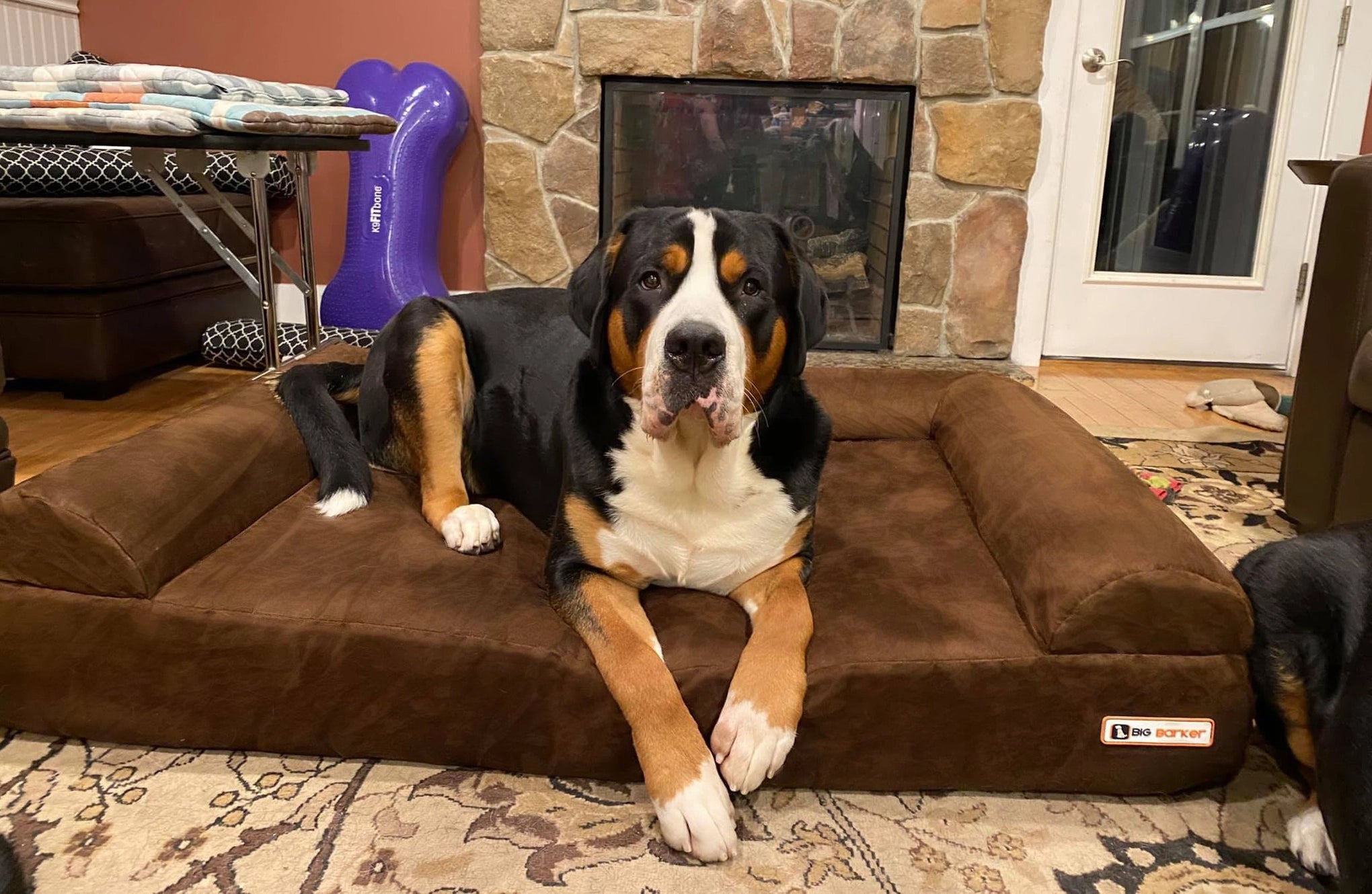 7" Orthopedic Dog Sofa Bed | Big Barker