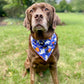 Halloween Dog Bandana - Ghosts