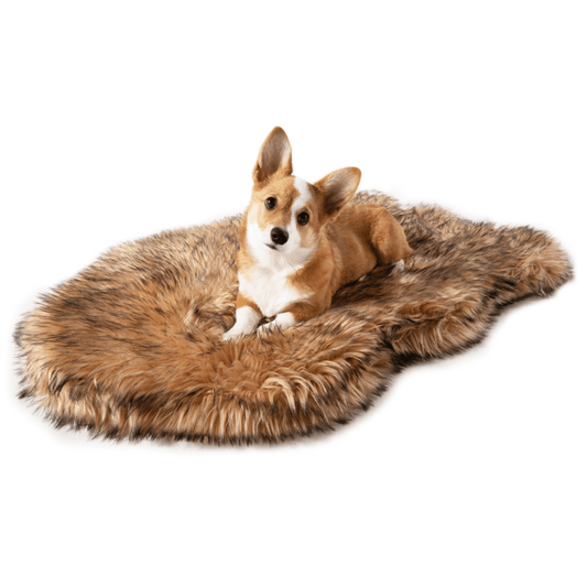Dog lying on a fluffy brown rug against a white background